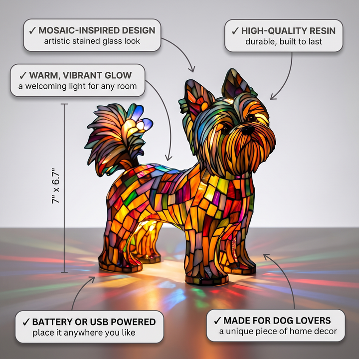 Radiant Yorkshire Terrier