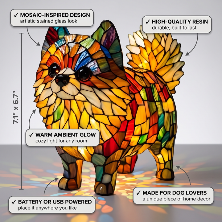 Vibrant Pomeranian
