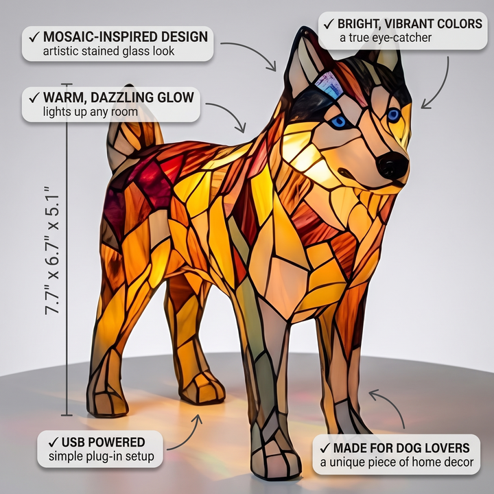 Nala Enchanted Dog